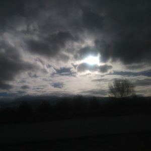 Meet your Posher, Javier